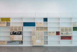 insalata-mista studio