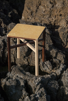 insalata-mista studio