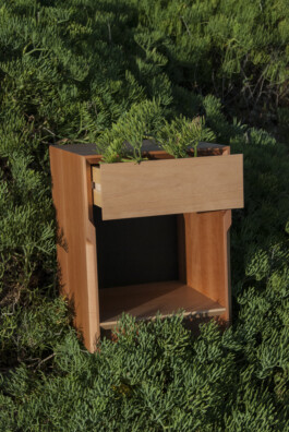 insalata-mista studio