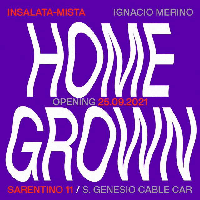 insalata-mista studio