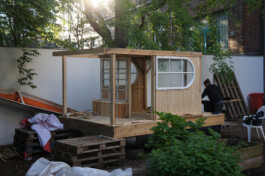 insalata-mista studio