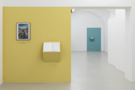 insalata-mista studio