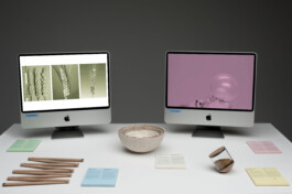 insalata-mista studio