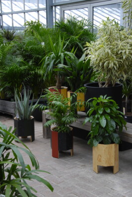 insalata-mista studio