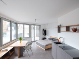 insalata-mista studio