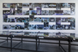 insalata-mista studio