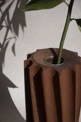 insalata-mista studio