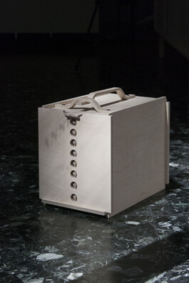 insalata-mista studio