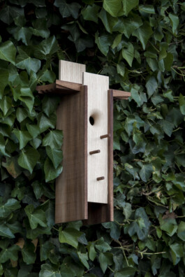 insalata-mista studio