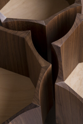 insalata-mista studio