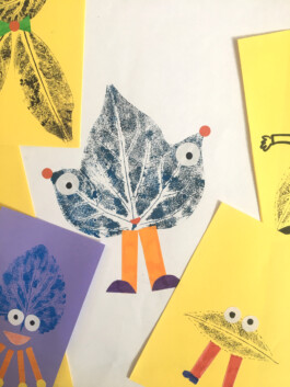 insalata-mista studio