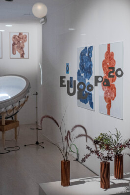 insalata-mista studio