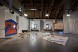 insalata-mista studio