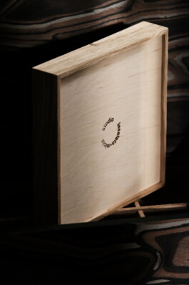 insalata-mista studio