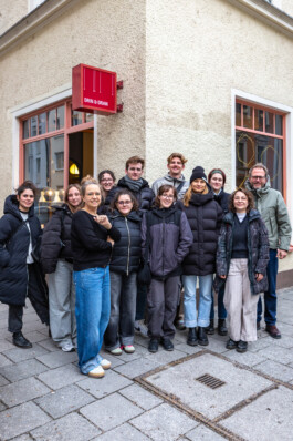 insalata-mista studio