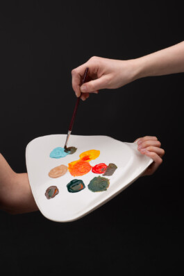 insalata-mista studio