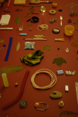 insalata-mista studio