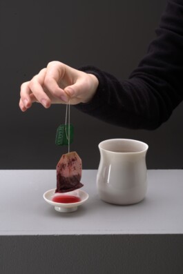 insalata-mista studio