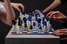 insalata-mista studio