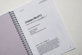 insalata-mista studio