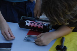 insalata-mista studio