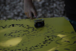 insalata-mista studio