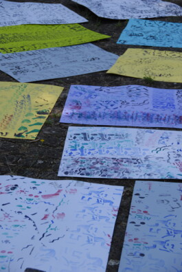 insalata-mista studio