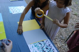 insalata-mista studio