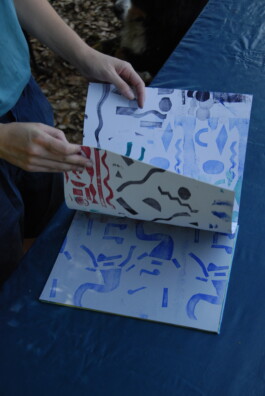 insalata-mista studio