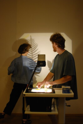 insalata-mista studio