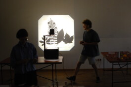 insalata-mista studio