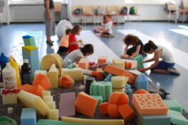 insalata-mista studio