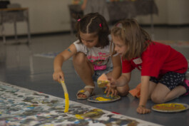 insalata-mista studio