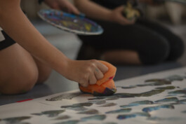 insalata-mista studio